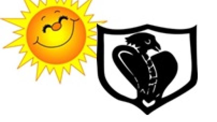 sommerafslutning